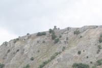 Braunsberg