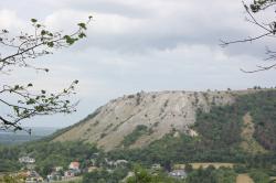 Braunsberg