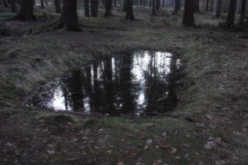  ( © Jiří Čížek 04/2005)
