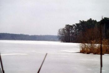 Pohled od severu na poloostrov, kde hrádek stával (© Jiří Cukr, 02/2004)