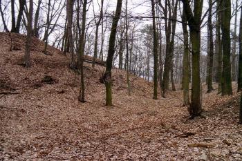 Příkop na severní straně (© Jiří Cukr, 02/2004)