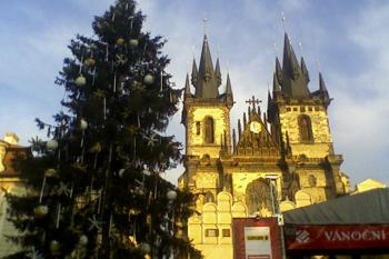  (© Jiří Suchomel, 12/2008)