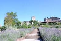 Monteriggioni
