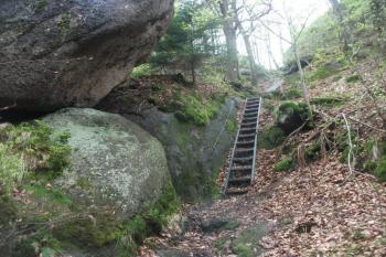 Oldřichovský Špičák (© Mir. Gergelčík 04/2015)