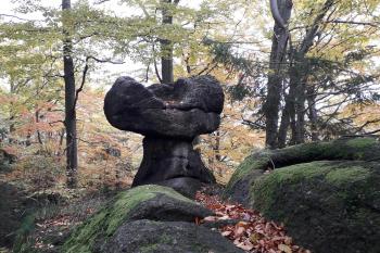 Hřib-Oldřichovský Špičák (© Róbert Tamáš  10/2021)