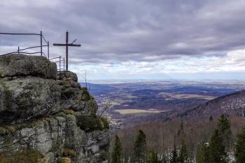 Paličník (© Štěpán Dvořák 02/2022)