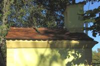 kaple
