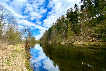 Řeka Moravice nedaleko nad mlýnem  (© Kristýna Celuchová 04/2020)