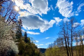 Řeka Moravice v okolí mlýna (© Kristýna Celuchová 04/2020)