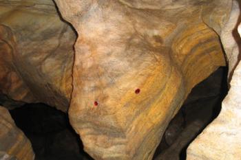 Drak (© 2003 Jiří Čížek)