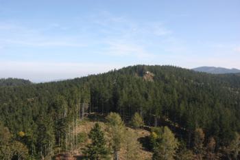 Pustý zámek z východní věže Kašperka ( © Ivan Grisa 09/2009)