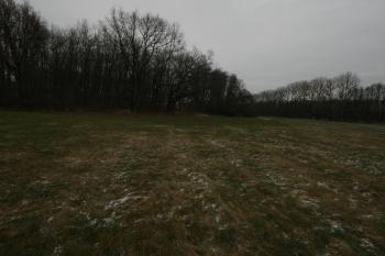  (© Petr Nožička  12/2021)
