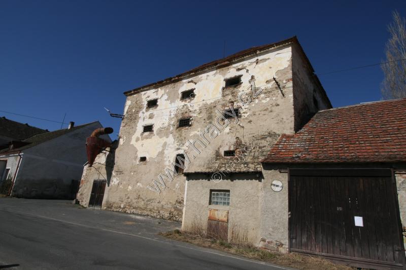 Mačice