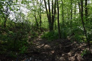  (© Jiří Čížek 05/2019)