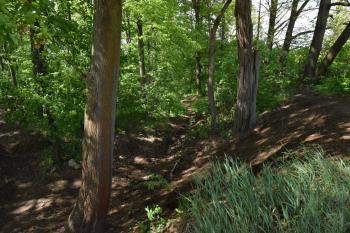  (© Jiří Čížek 05/2019)