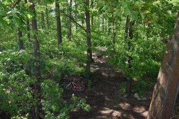  (© Jiří Čížek 05/2019)