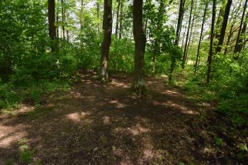  (© Jiří Čížek 05/2019)