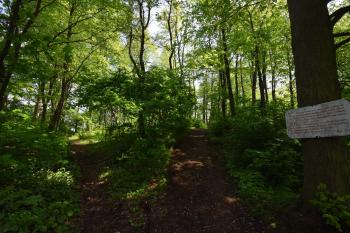  (© Jiří Čížek 05/2019)