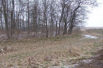  ( © Roman Řezáč 12/2007)