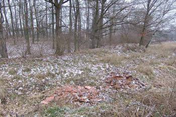  ( © Roman Řezáč 12/2007)