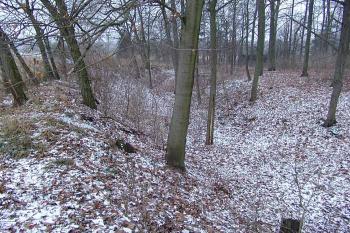  ( © Roman Řezáč 12/2007)