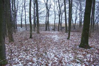  ( © Roman Řezáč 12/2007)