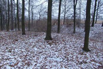  ( © Roman Řezáč 12/2007)