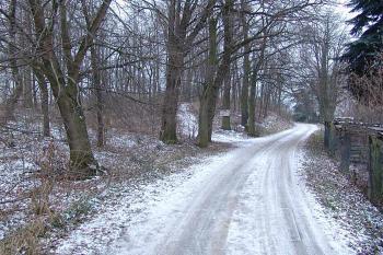  ( © Roman Řezáč 12/2007)