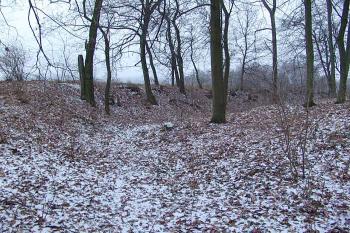  ( © Roman Řezáč 12/2007)