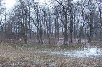  ( © Roman Řezáč 12/2007)