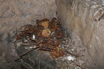  (© Pavel Semple  06/2022)