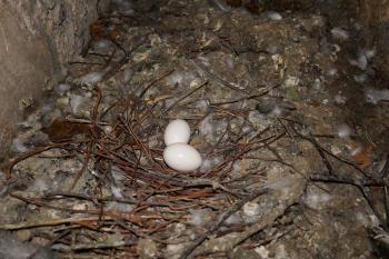  (© Pavel Semple  06/2022)