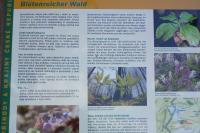 vyhlídka Spravedlnost