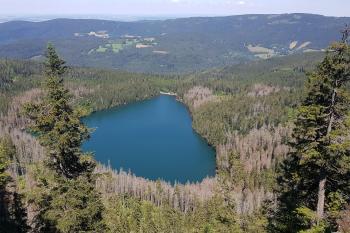 Černé jezero (© pepino Josef 07/2020)