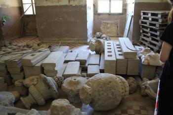  (© Miroslav Mastný, 07/2011)