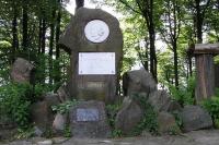 Jedlová