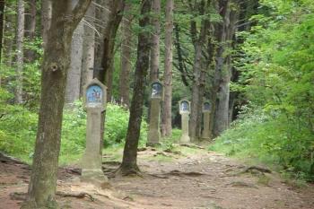 Železná Ruda-křížová cesta (© Irena Vicherová 08/2007)
