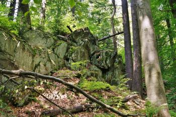Čerchovské hvozdy (© Rostislav Hudec  07/2013)