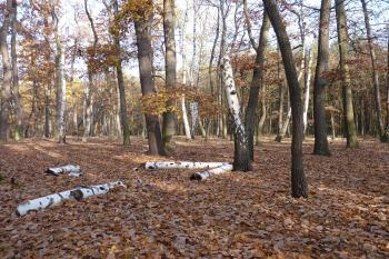 Čtvrtě (© Krvesaj 11/2011)