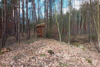 Lužické hradiště (© Jirka Kliner 02/2022)
