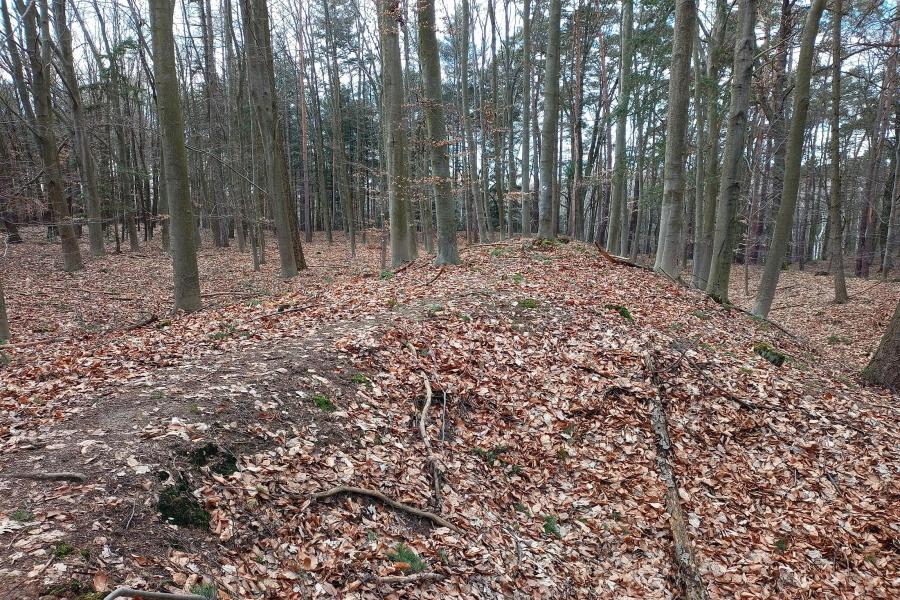 Lužické hradiště