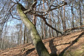 Park (© Prudký Martin, 03/2010)