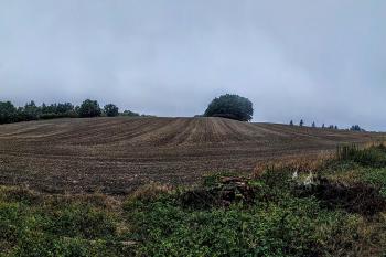 Tuhošť (© Alexej Kokorev  09/2018)