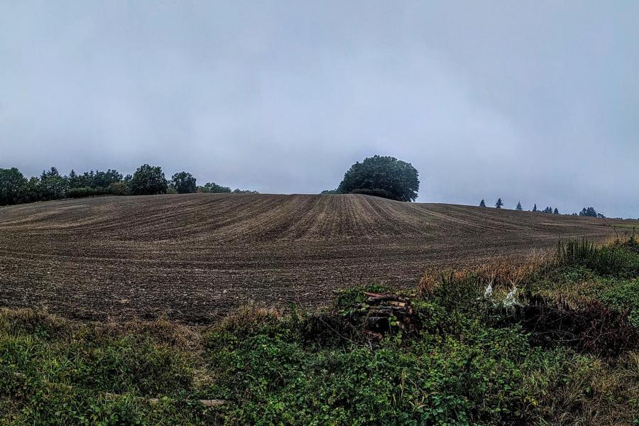 Tuhošť