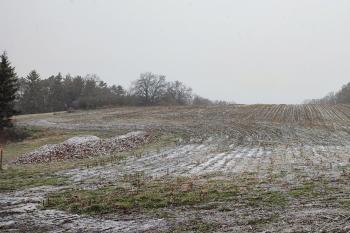 Tuhošť (© Alexej Kokorev 11/2021)