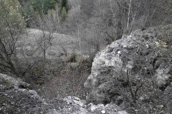 Pochvalovská stráň (© Vojtěch Dostál 04/2021)
