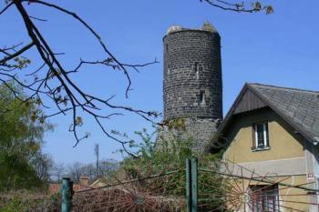 Jenštejn - zřícenina hradu (© Pavel Jarý,  22.04.2007)