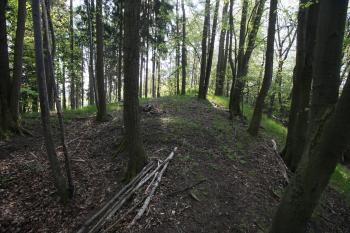  (© Petr Nožička  05/2022)