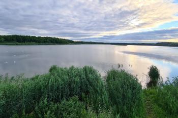 Bohdanečský rybník (© Hedvika Poršová 07/2021)