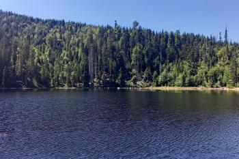 Prášilské jezero (© Josef Lesny 08/2022)